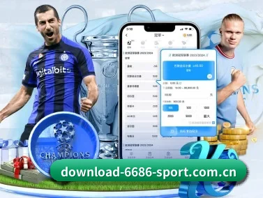 国际化进程 | 6686app